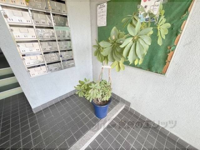 植栽
