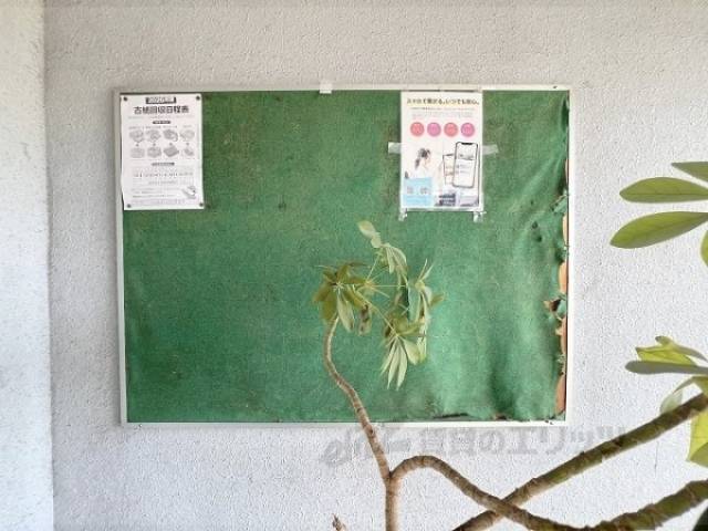 掲示板