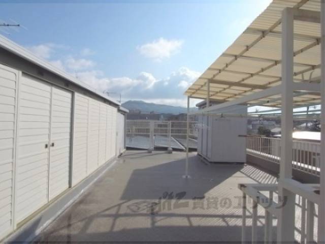 屋上