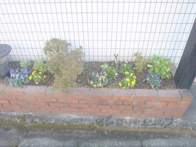 植栽
