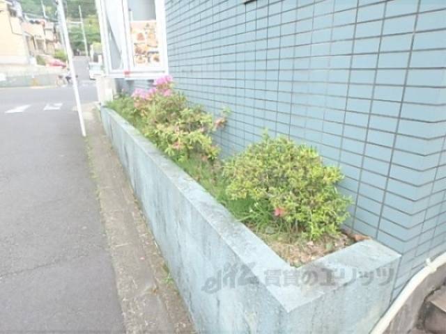 植栽