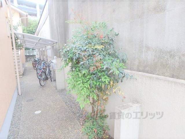 植栽