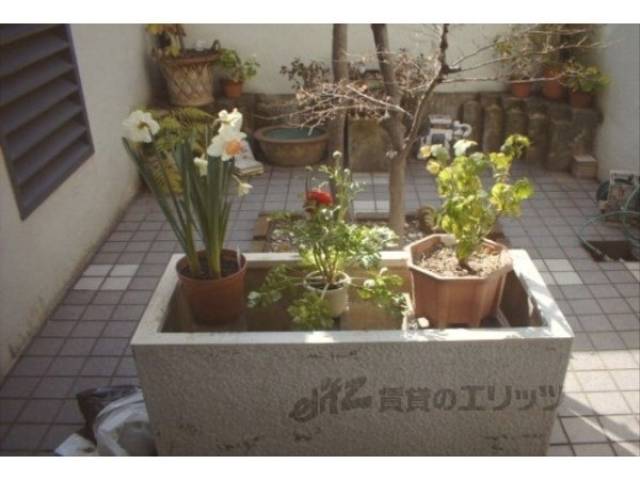 植栽