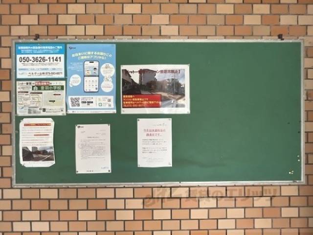 掲示板