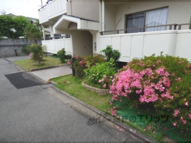 植栽