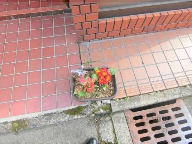 植栽