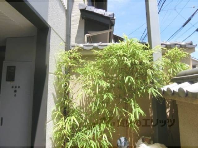 植栽