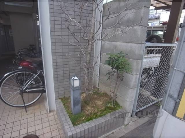 植栽
