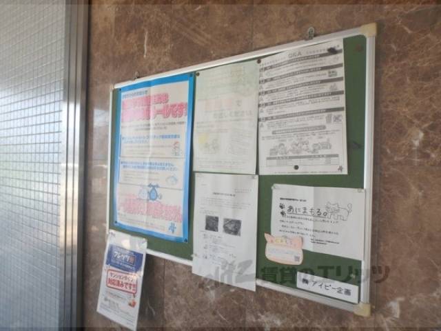 掲示板