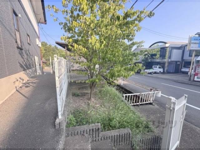 植栽