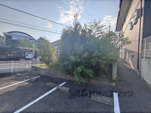 植栽