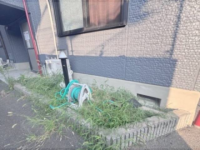 植栽