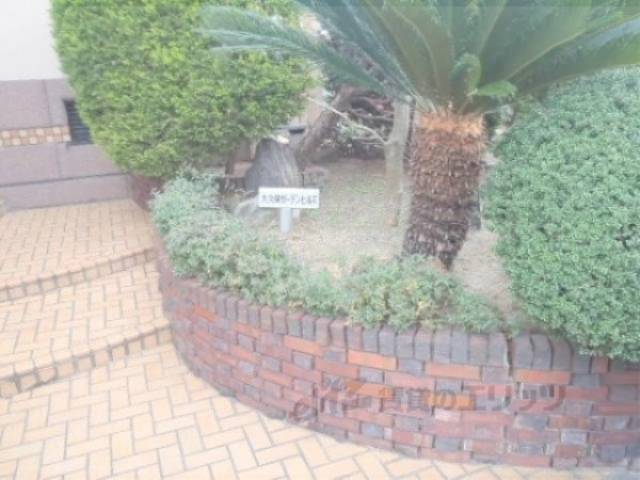 植栽