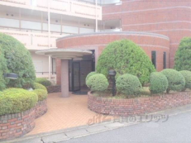 植栽