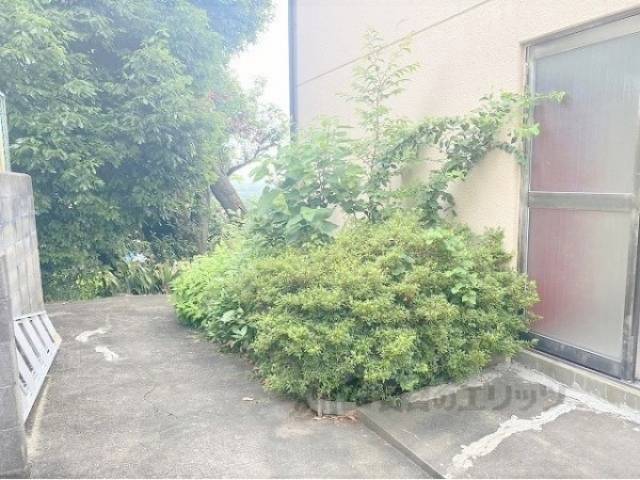 植栽