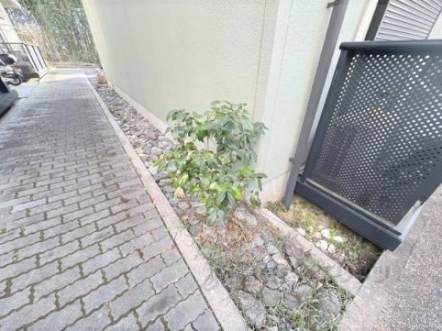 植栽