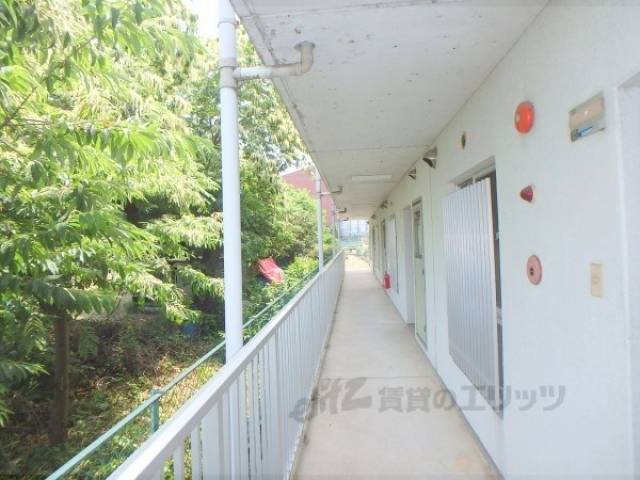 通路