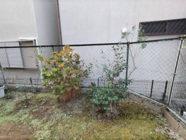 植栽