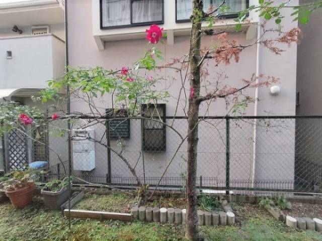植栽