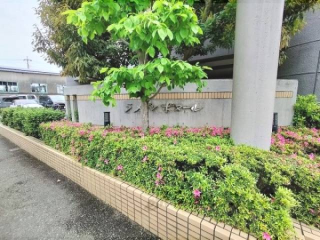 植栽