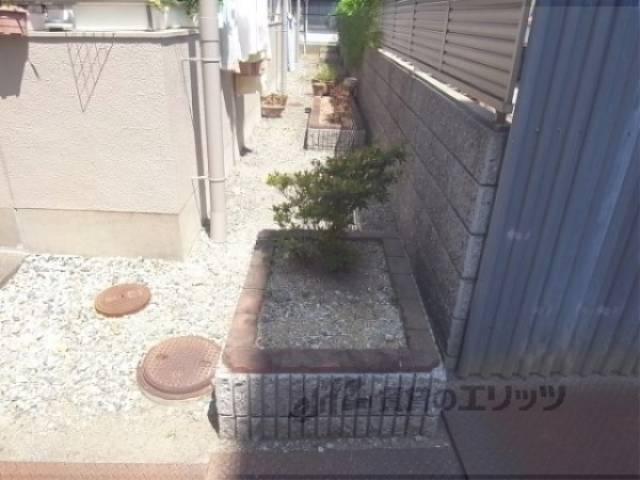 植栽