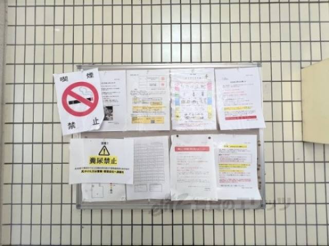 掲示板