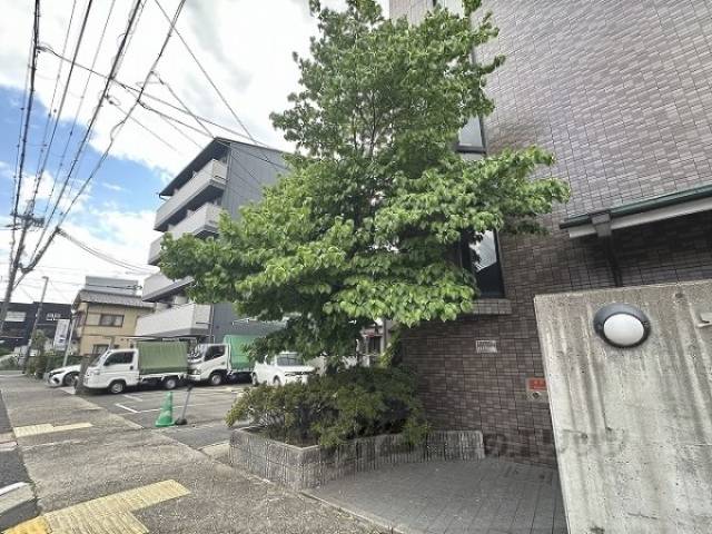 植栽
