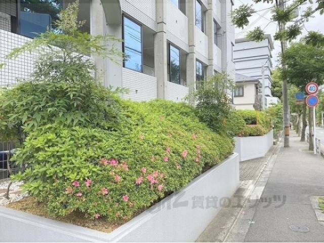 植栽