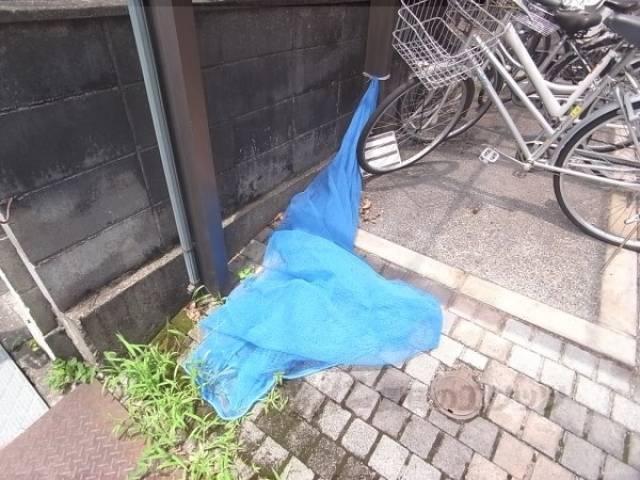ゴミ捨て場