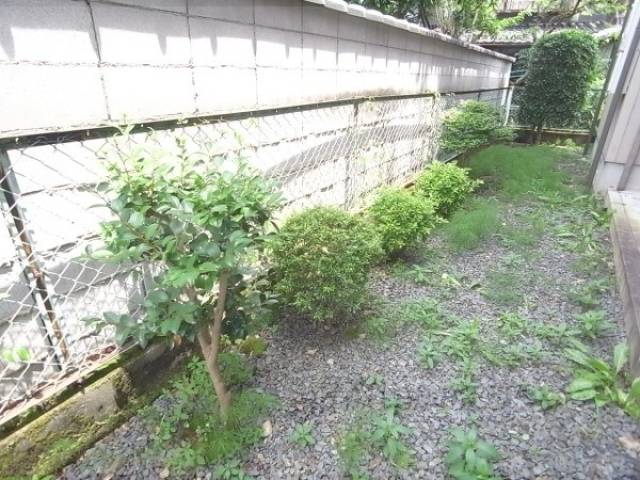 植栽