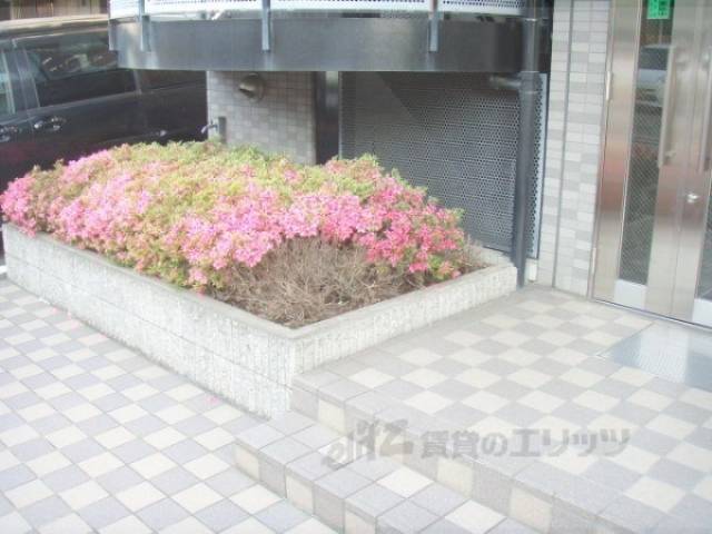植栽