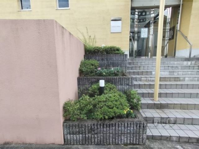 植栽