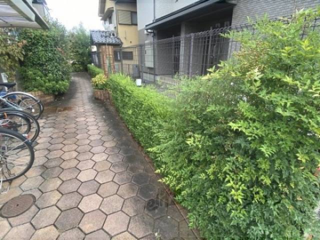植栽