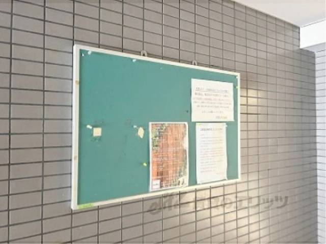 掲示板