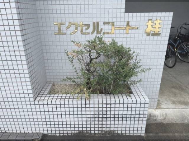 植栽