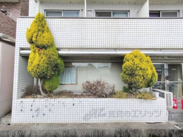 植栽
