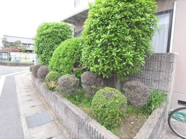 植栽