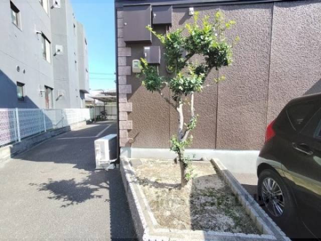 植栽