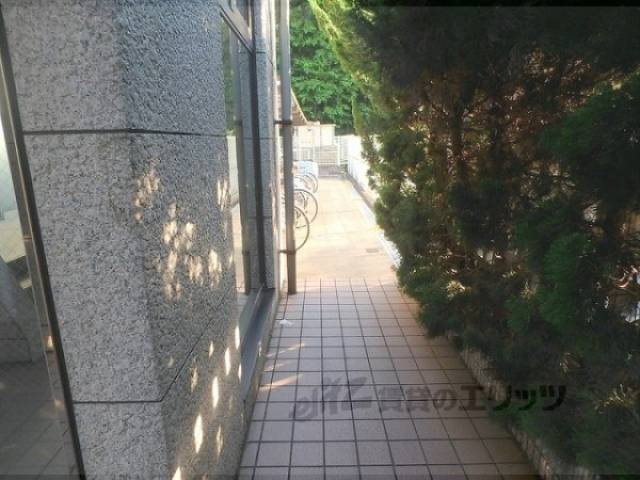 通路