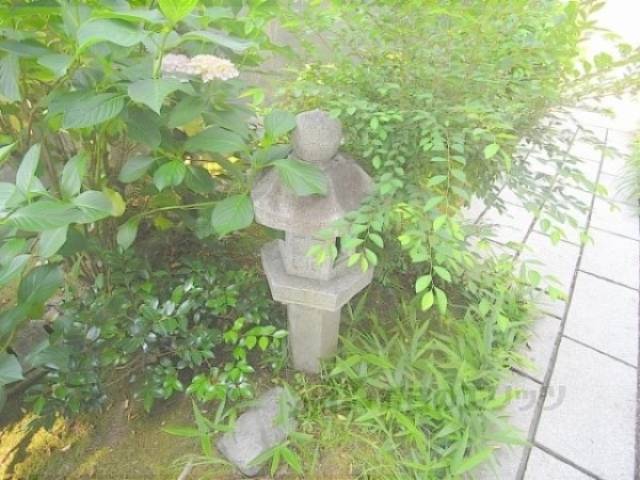 植栽