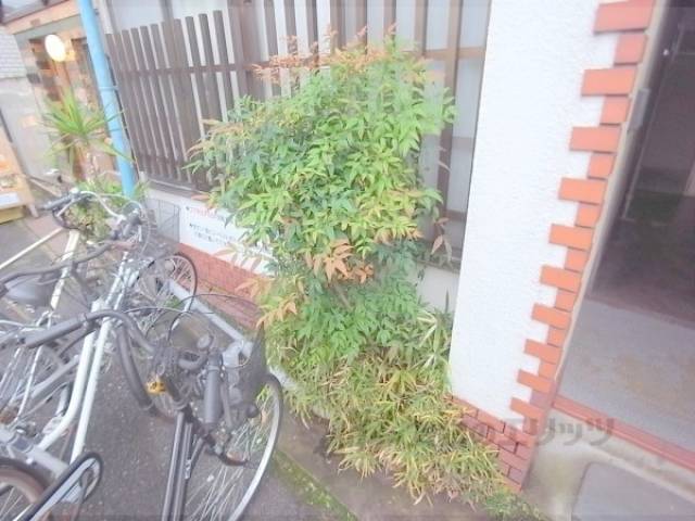植栽