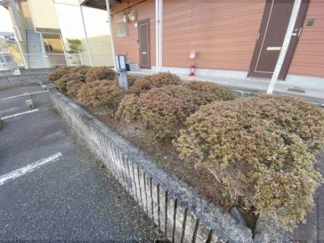 植栽
