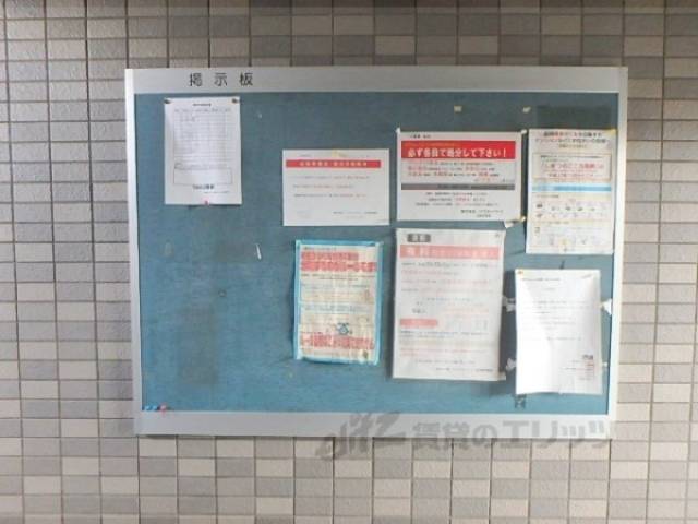 掲示板