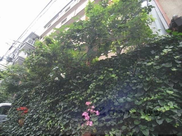植栽