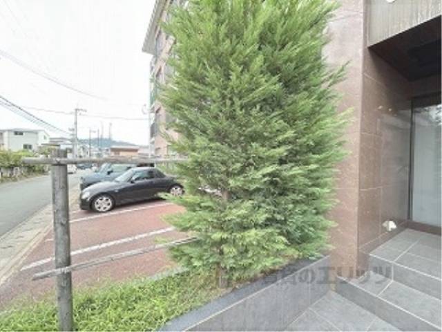 植栽