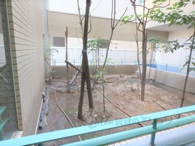 植栽