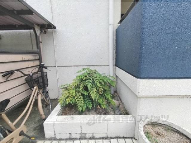 植栽