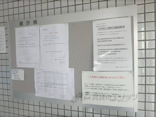 掲示板