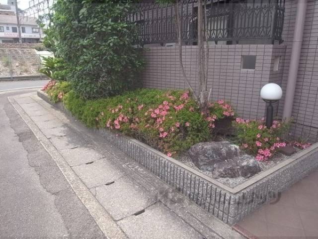 植栽