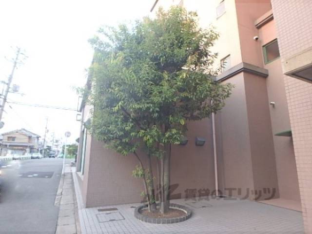 植栽